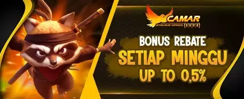 Cashback VIP Mingguan 0.5% promotional offer